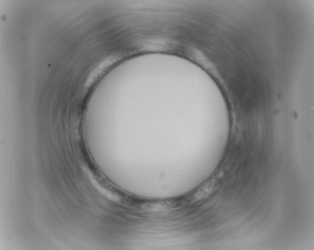 X0000070400106200607072254