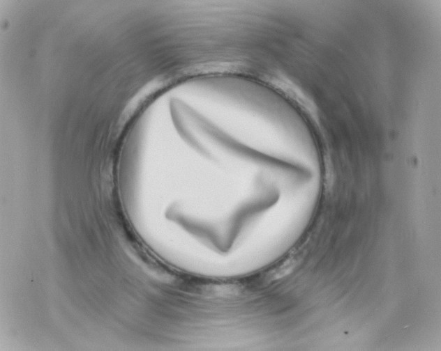 X0000070400107200607072254