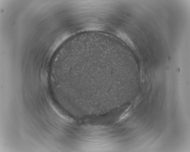 X0000070400108200607072254