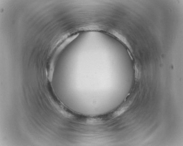 X0000070400109200607072254