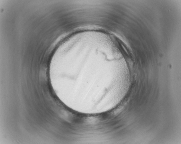 X0000070400111200607072254