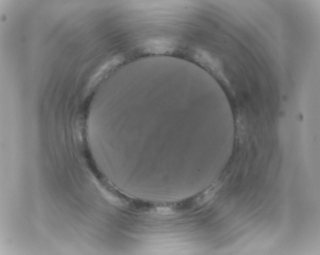 X0000070400114200607072254