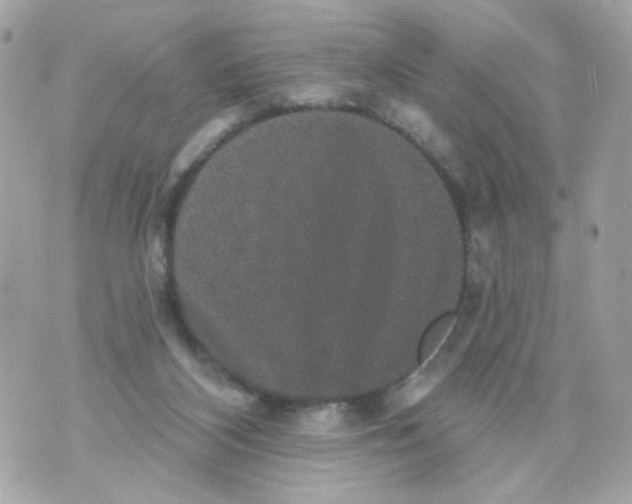 X0000070400116200607072254