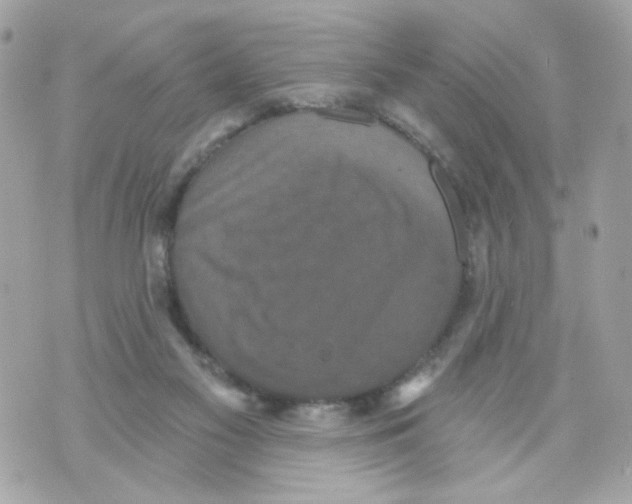 X0000070400117200607072254