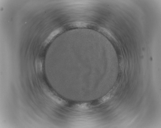 X0000070400120200607072254