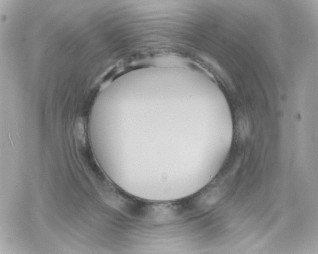 X0000070400121200607072254