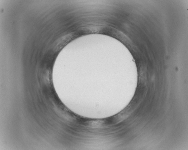 X0000070400122200607072254