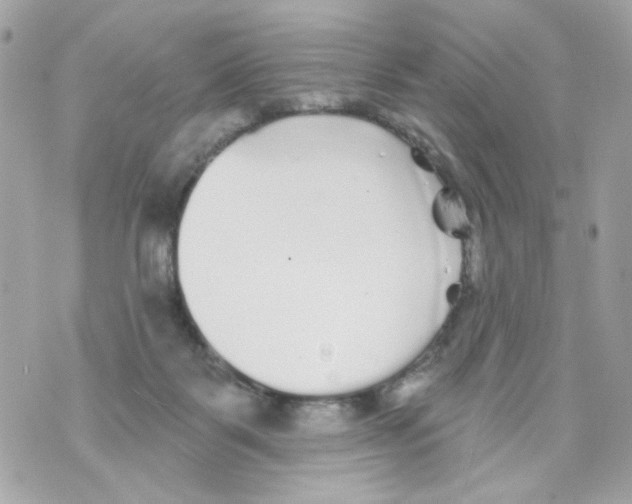 X0000070400123200607072254