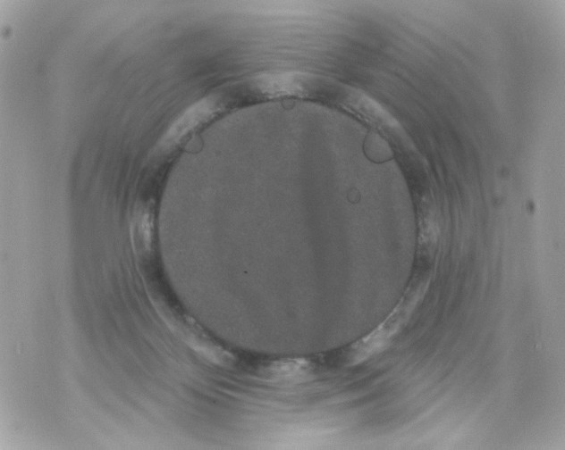 X0000070400124200607072254