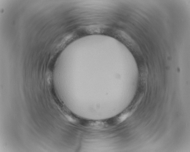 X0000070400125200607072254