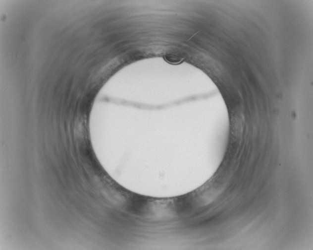 X0000070400126200607072254