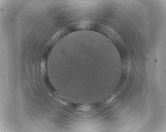 X0000070400127200607072254