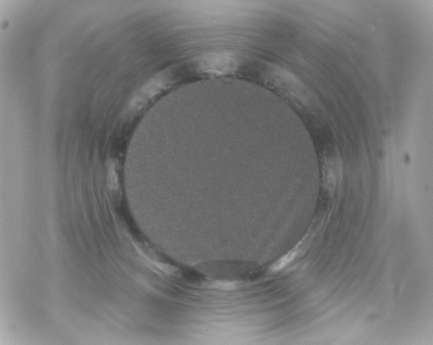 X0000070400128200607072254