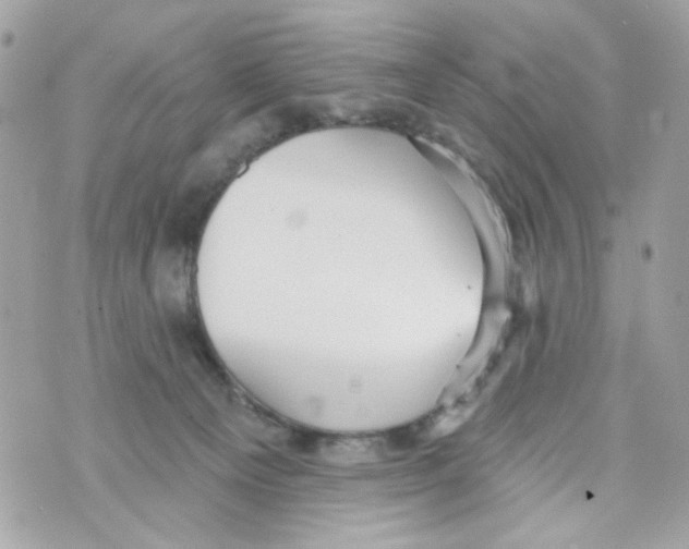 X0000070400129200607072254