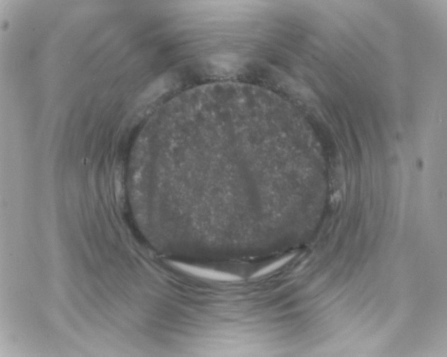 X0000070400131200607072253