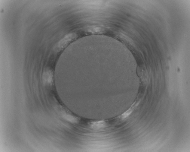 X0000070400132200607072253