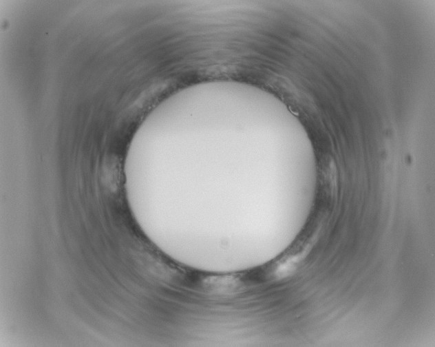 X0000070400133200607072253