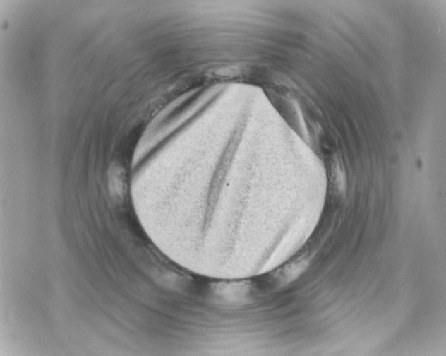 X0000070400135200607072253