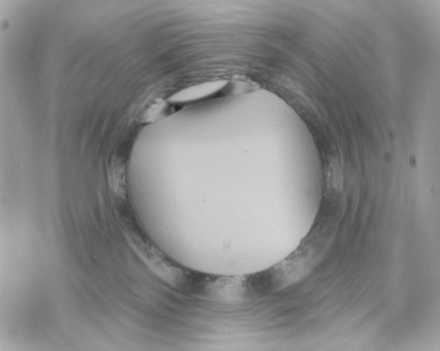 X0000070400138200607072253