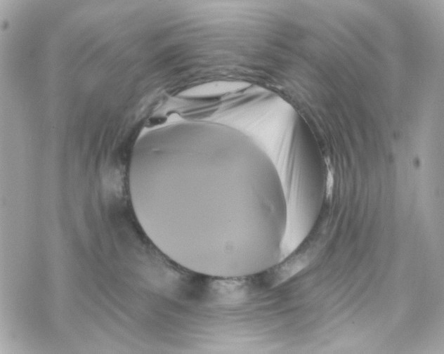 X0000070400139200607072253