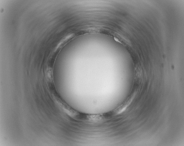 X0000070400141200607072253