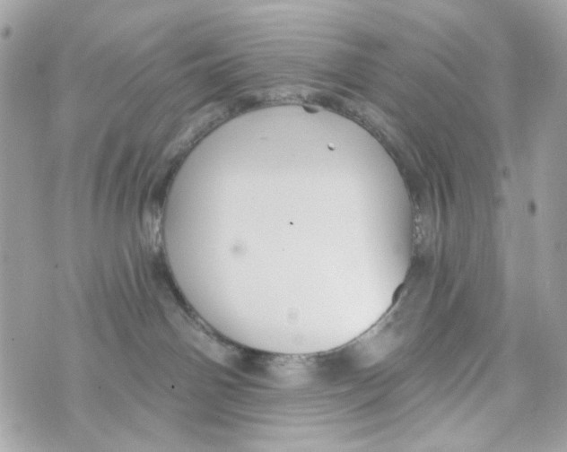 X0000070400142200607072253