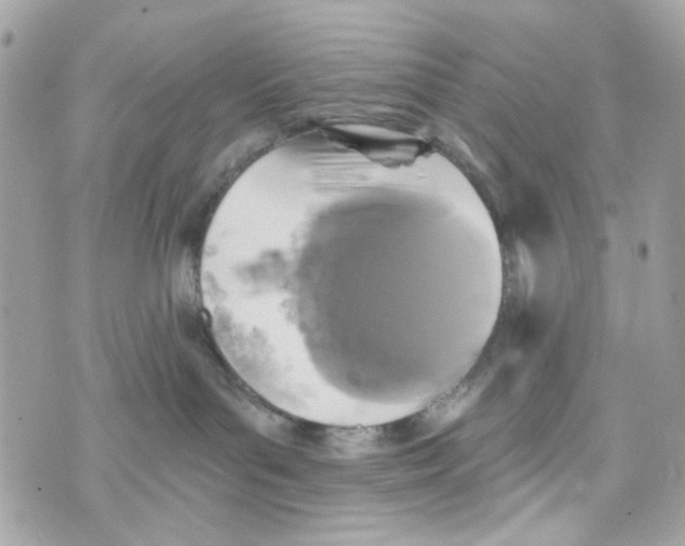 X0000070400143200607072253