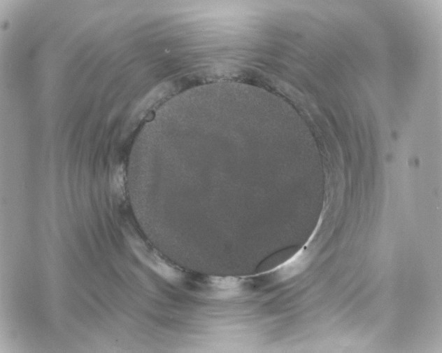 X0000070400144200607072253