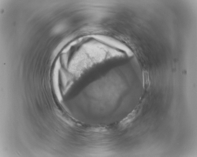 X0000070400147200607072253