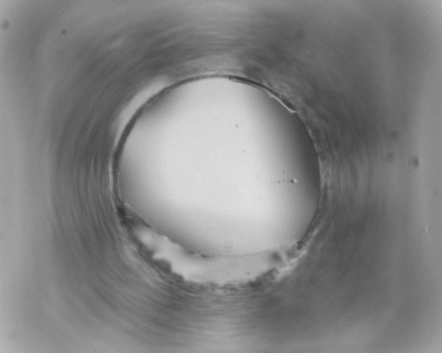 X0000070400148200607072253