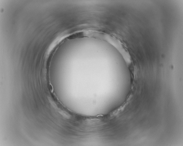 X0000070400150200607072253