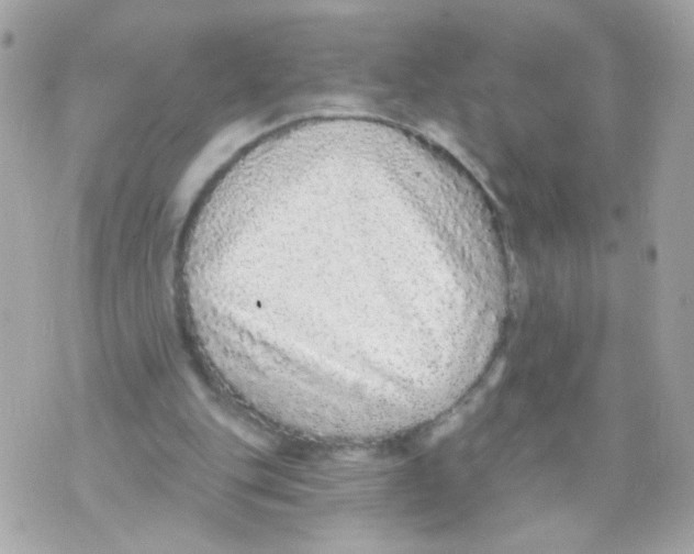 X0000070400151200607072253