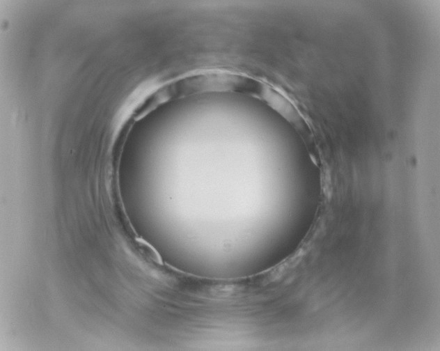 X0000070400152200607072253