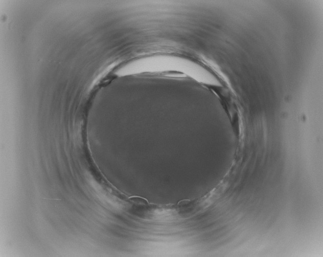 X0000070400154200607072253