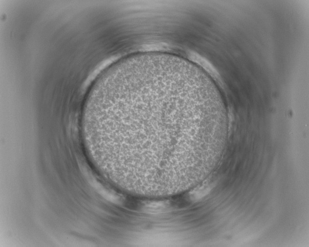 X0000070400155200607072253