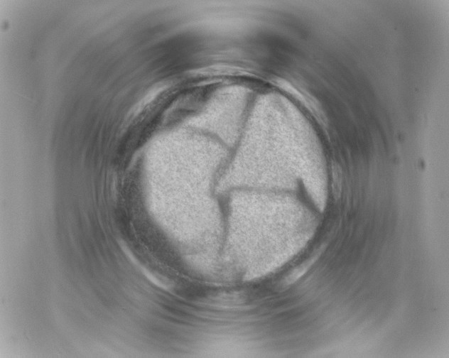 X0000070400157200607072253