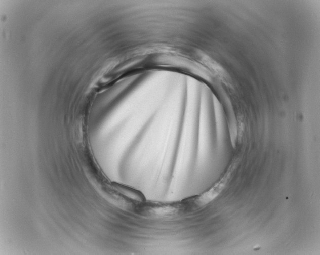 X0000070400158200607072253