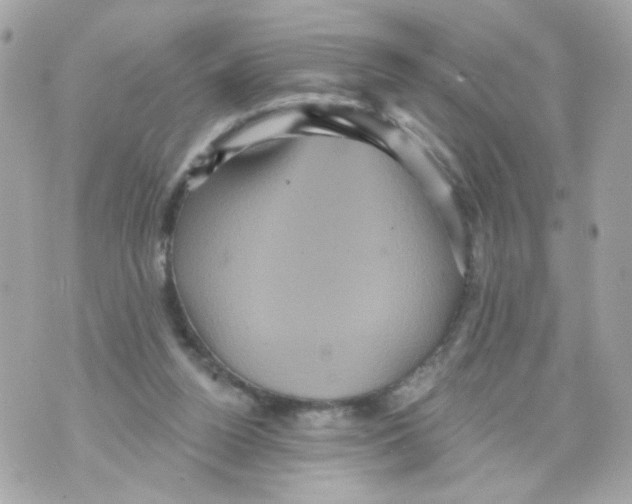 X0000070400160200607072253