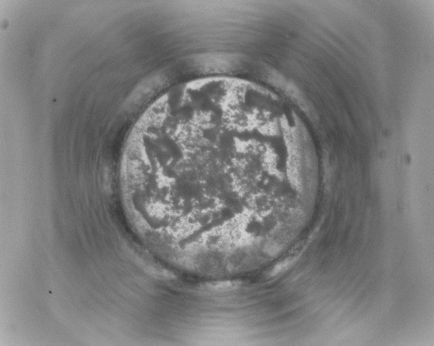 X0000070400161200607072253