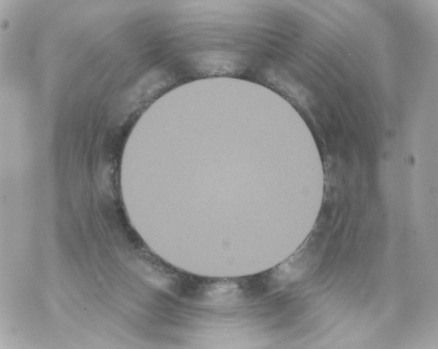 X0000070400162200607072253