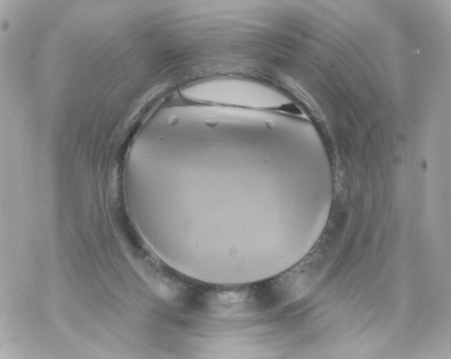 X0000070400163200607072253