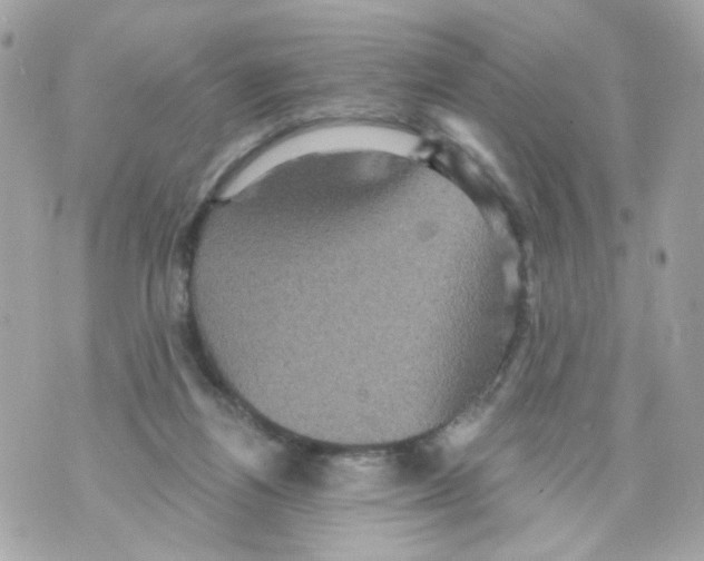 X0000070400164200607072253