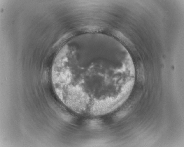 X0000070400165200607072253