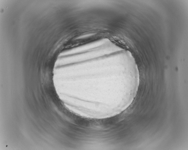 X0000070400166200607072253