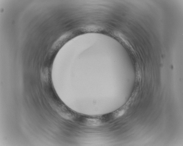 X0000070400167200607072253