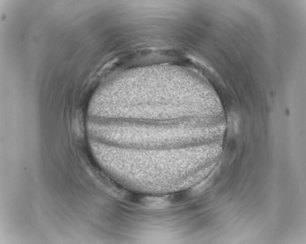 X0000070400170200607072253