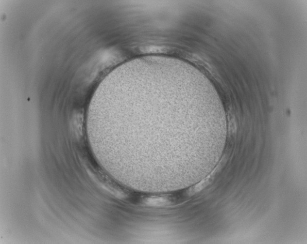 X0000070400171200607072253