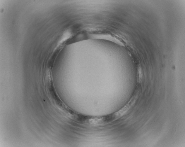 X0000070400172200607072253