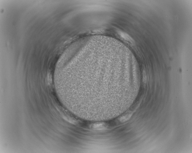 X0000070400173200607072253