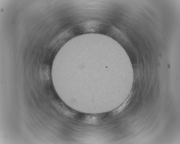 X0000070400174200607072253